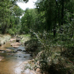 Prescott Creeks