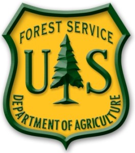 Forest Service .jpg